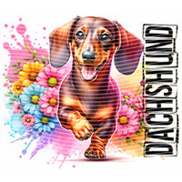 Animal Integration-DW 714